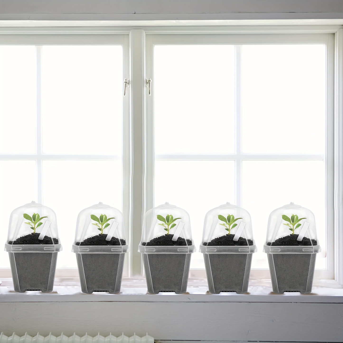 Clear Nursery Pots 3 Inch with Humidity Dome Lids 30pcs | Stackable Seed Starter Pots | Built-In Labels | Succulents Seedlings Cuttings