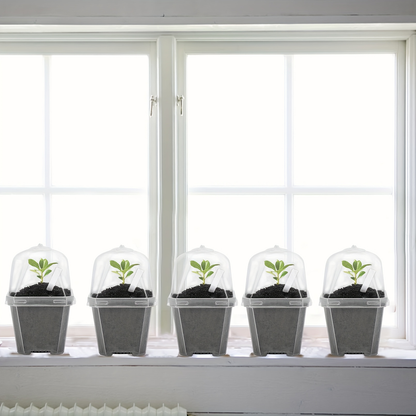 Clear Nursery Pots 3 Inch with Humidity Dome Lids 30pcs | Stackable Seed Starter Pots | Built-In Labels | Succulents Seedlings Cuttings