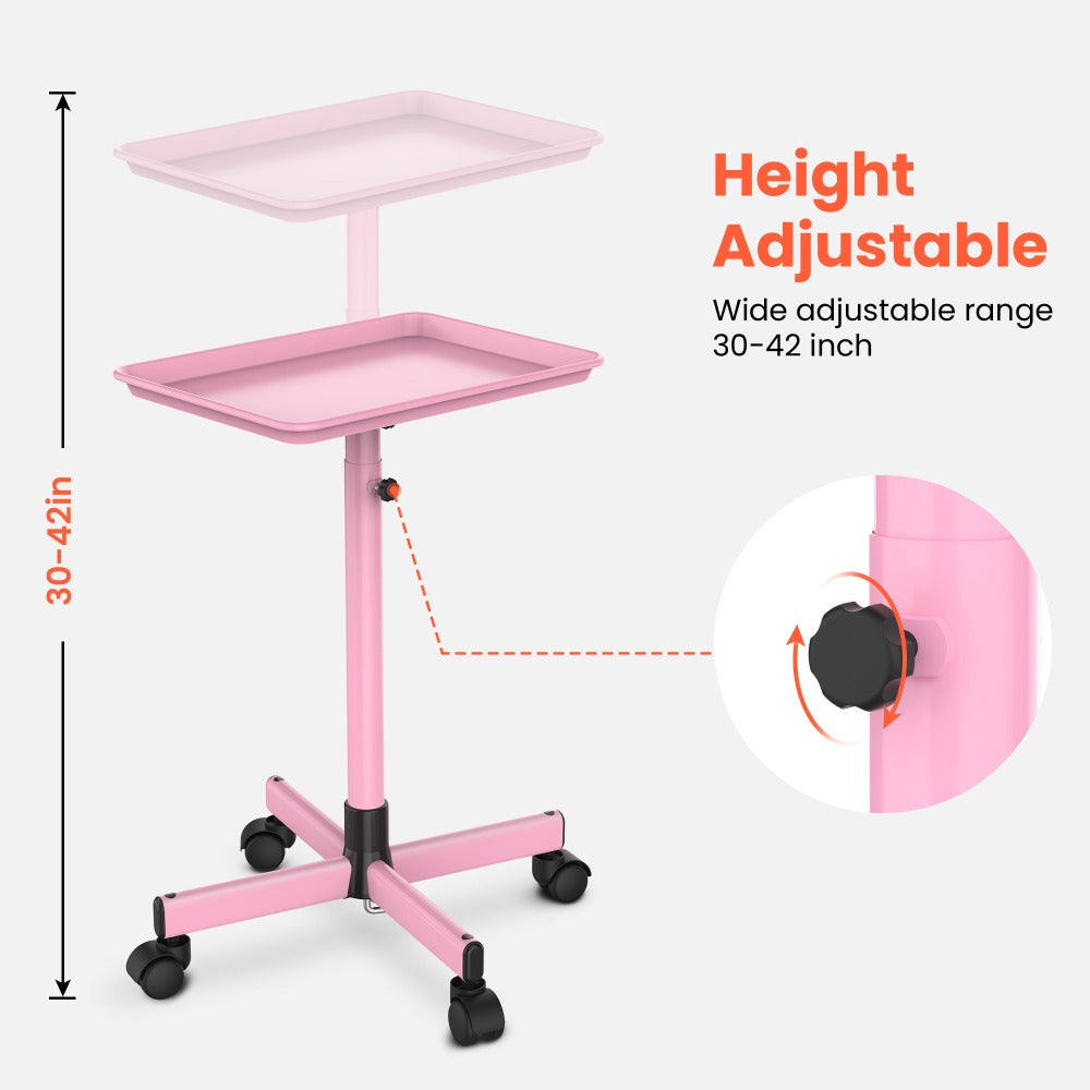 Rolling Salon Tray Cart on Wheels Adjustable Height 17.9x12.8 Inch Mobile Stylist Tray Table for Spa Tattoo Studio Blowdry Bar Aesthetic