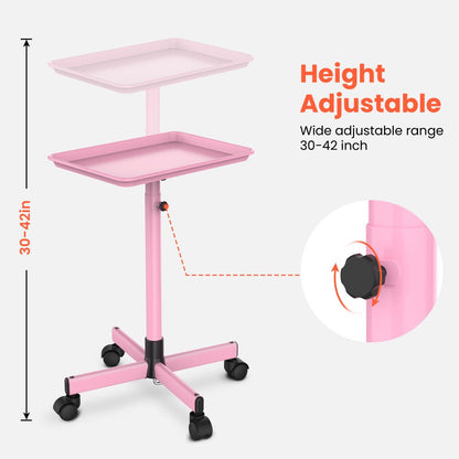 Rolling Salon Tray Cart on Wheels Adjustable Height 17.9x12.8 Inch Mobile Stylist Tray Table for Spa Tattoo Studio Blowdry Bar Aesthetic