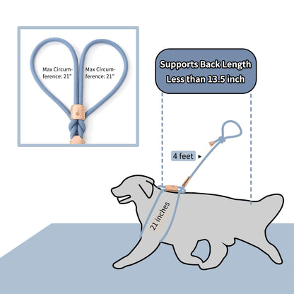 Dog Slip Leash and Harness 2-in-1 Rope Lead – No Pull All-in-One Training Leash for Puppies & Small Dogs, Adjustable Slip Lead with Soft