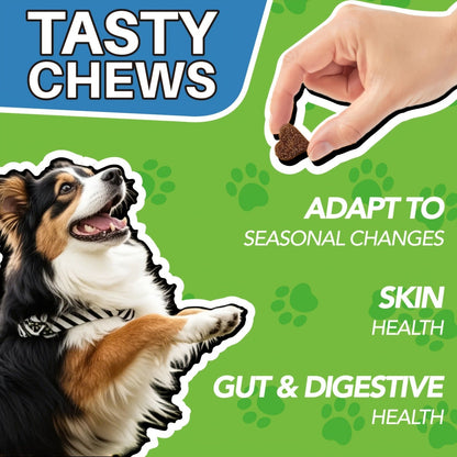 Dog Skin and Digestion Soft Chews with Colostrum, Fermentate and Astragalus, 90-Count Bottle