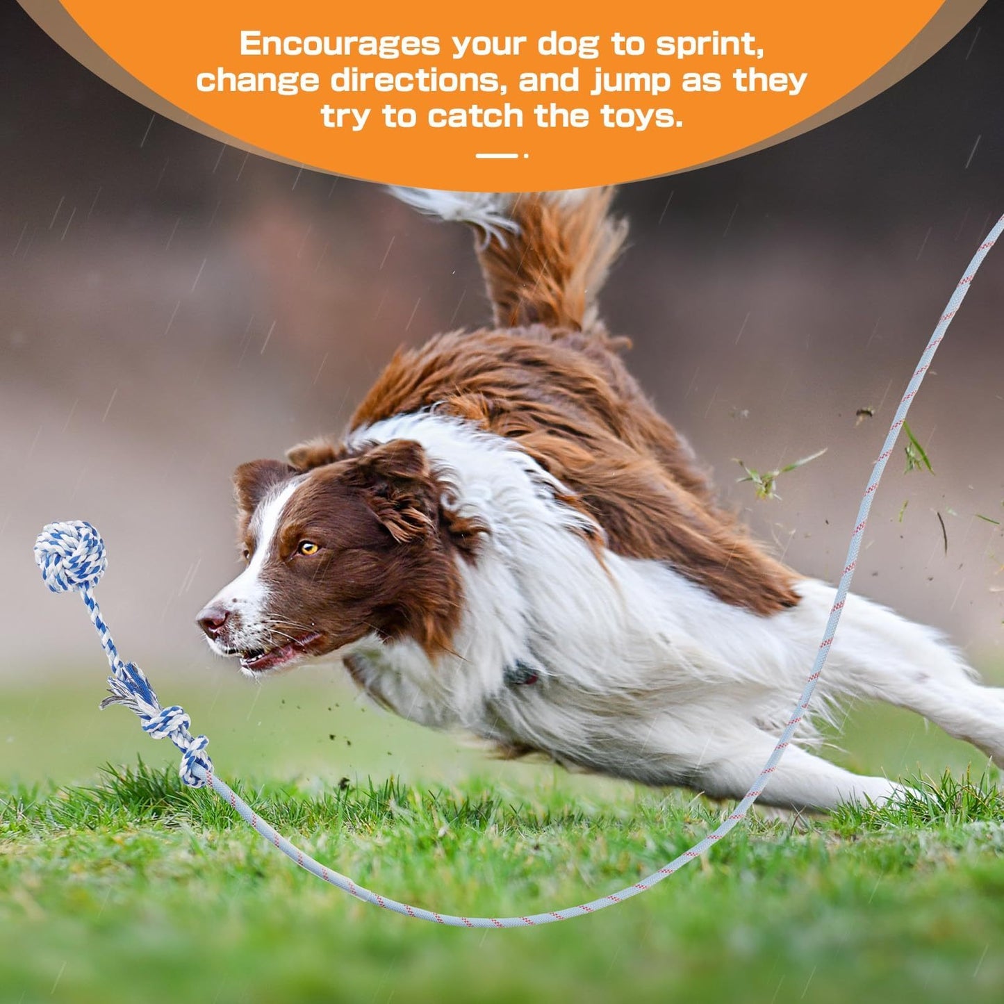 Dog Flirt Pole Telescopic – Extendable Flirt Stick with 3 Detachable Toys & Nylon Rope, Aluminum Alloy Dog Chase Toy