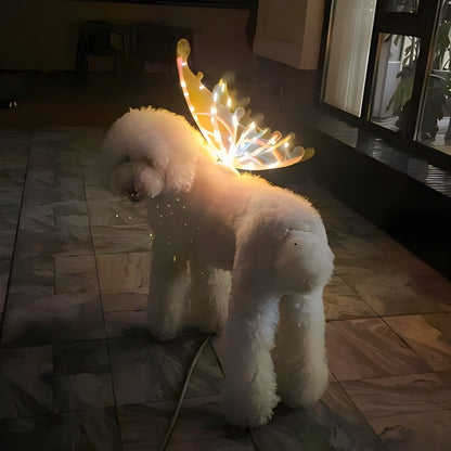 LED Light-Up Butterfly Angel Wings Costume for Dogs, Girls & Women – Multi-Color Illuminated Wings for Halloween, Christmas, Carnival