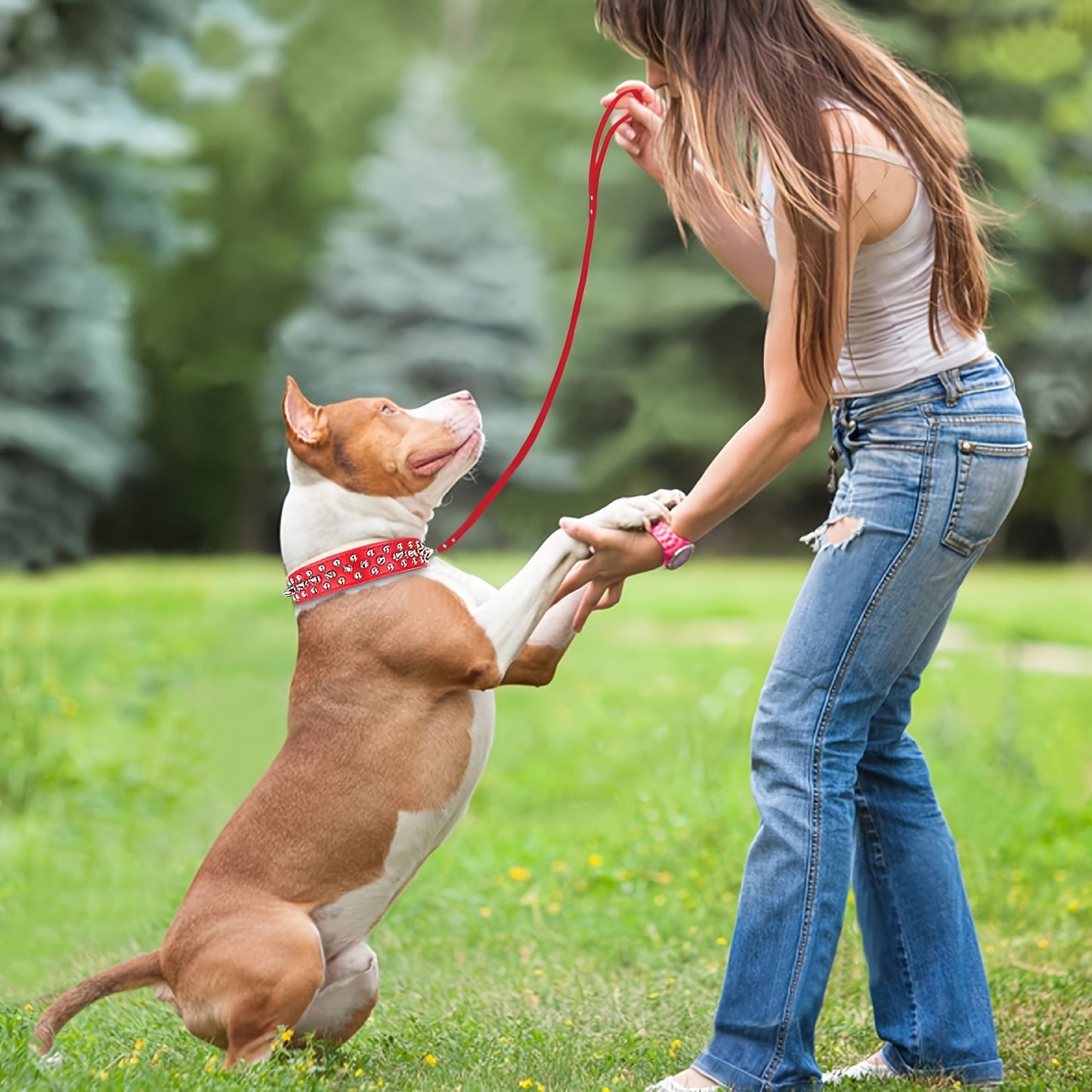 Rivet Dog Collar Bite Resistant with Leash Set, Heavy Duty Metal Buckle Pet Collar for Medium Large Dogs, Adjustable Sizes XS–XXL