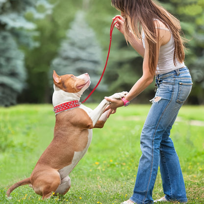 Rivet Dog Collar Bite Resistant with Leash Set, Heavy Duty Metal Buckle Pet Collar for Medium Large Dogs, Adjustable Sizes XS–XXL