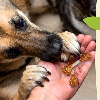 Chicken Dog Training Treats Dumbbell Shape – Natural High Protein Reward Snacks for Small Medium Large Dogs, Rice & Chicken Flavor