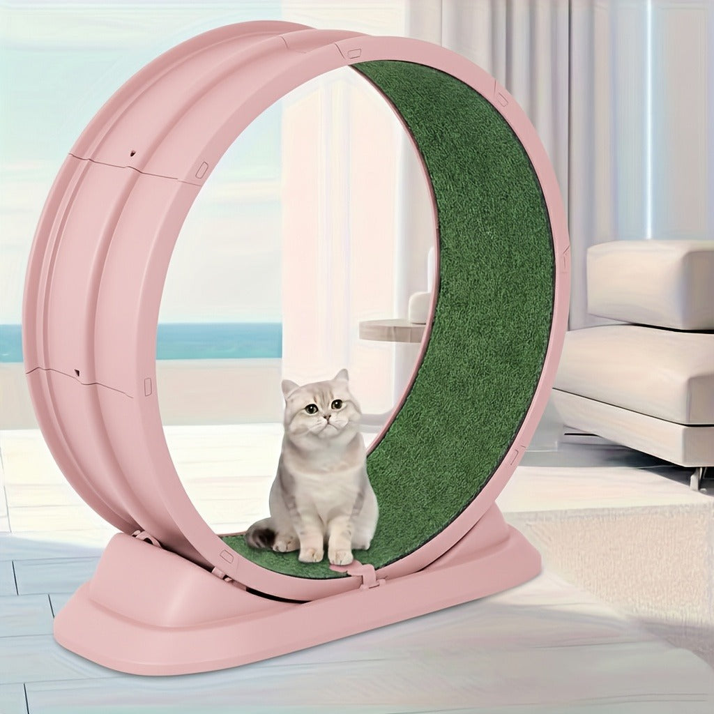 Cat Treadmill Indoor Exercise Wheel Durable Plastic Running Wheel for Indoor Cats All Breeds No Battery Needed Silent Spinner Cat Fitness