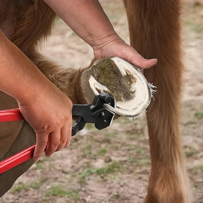 Hoof Trimming Kit 9-Piece Professional Farrier Tools – 10" Carbon Steel Hoof Nippers, Shears, Nail Clipper