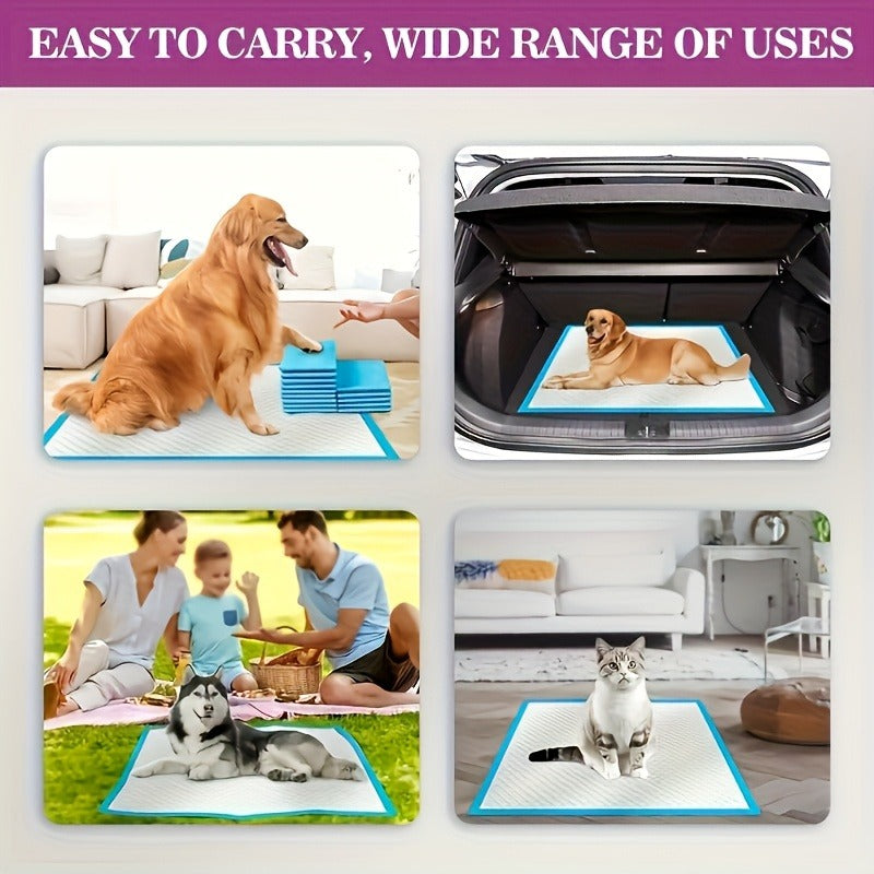 Puppy Pee Pads XXL 30x36 Inch 40 Count – 6-Layer Thickened Heavy Absorbent Disposable Dog Training Pads with Polymer Leak-Proof & Quick-Dry