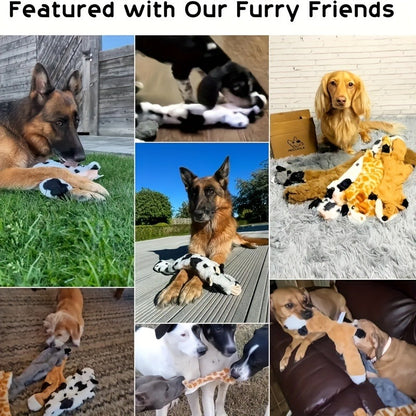 Durable Chew Toys for Dogs, Squeaky Dog Chew Toys Set – Durable Interactive Rubber Chew Toys for Small Medium Large Dogs
