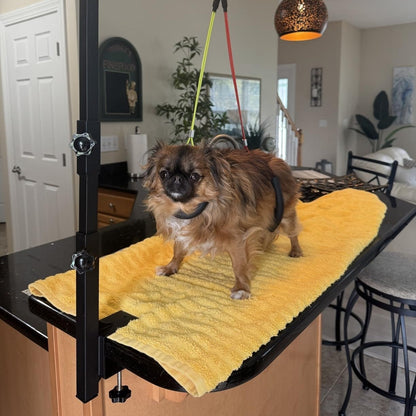 Pet Grooming Arm, 36-Inch Three-Section Iron Clamp Stand with Haunch Holder and Positioning Ropes