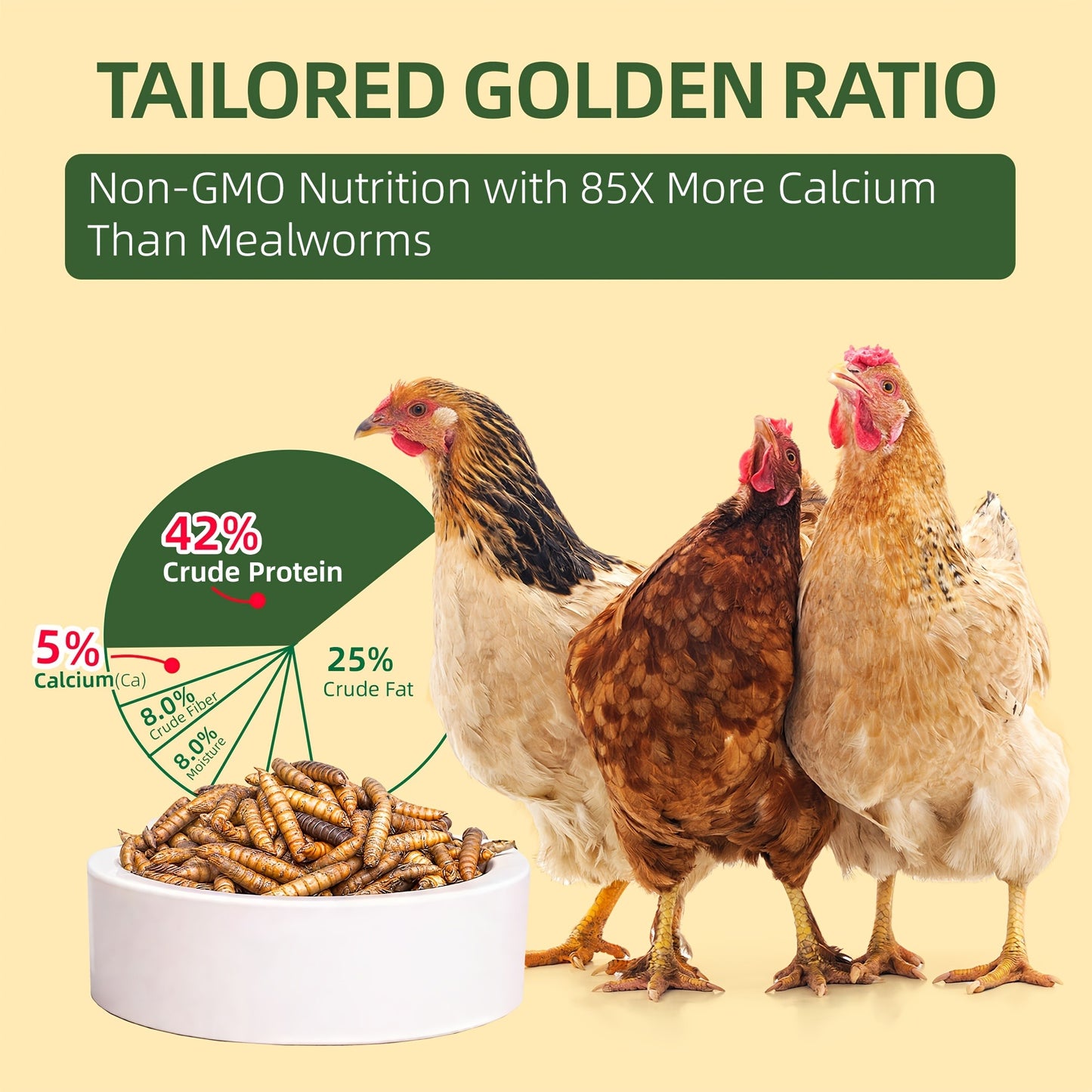 Dried Black Soldier Fly Larvae for Chickens – High Protein BSF Larvae Treats with Calcium for Laying Hens Ducks Quail Birds Reptiles Non-GMO