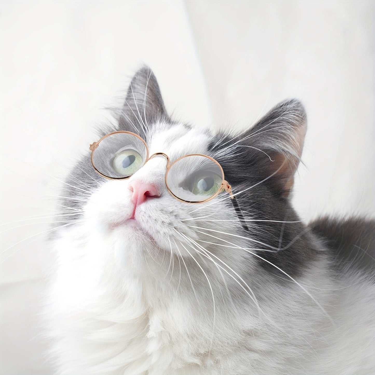 Pet Sunglasses 10-Pack Round Metal Retro Shades for Cats & Dogs – Assorted Colors Classic Hippie Glasses for Cosplay, Parties & Photo Props