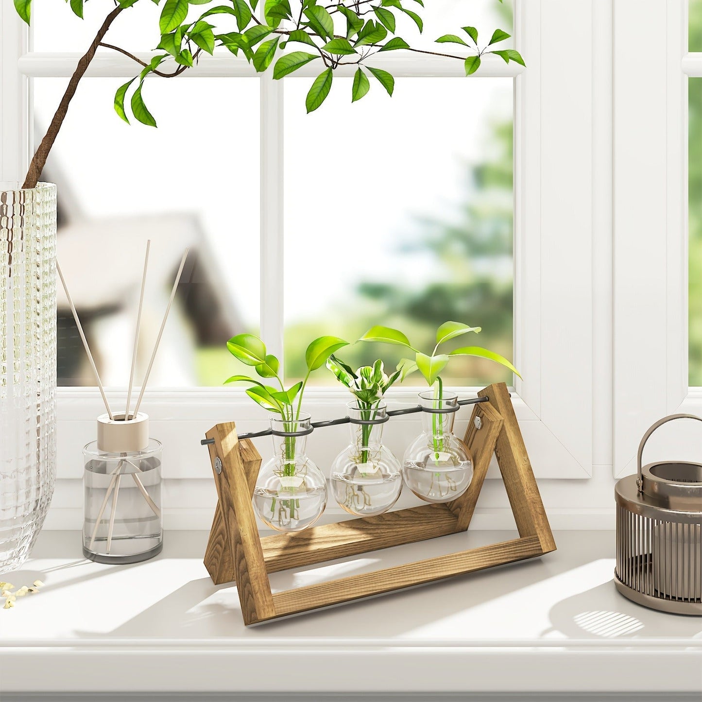 Glass Terrarium Heart Shaped Hydroponic Vase with Wooden Stand – Elegant Plant Propagation Station for Home Decor