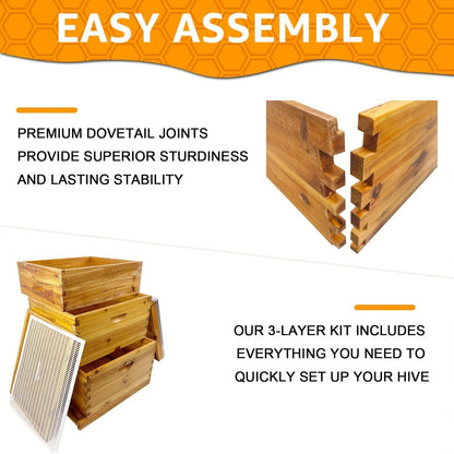Langstroth Beehive Kit 3 Layer Beeswax Coated 2 Deep Boxes & 1 Medium Super — No Frames