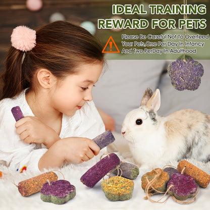 Rabbit Chew Sticks 24 PCS – Timothy Hay Molar Snack Toy with Carrot & Strawberry Flavors for Bunnies, Chinchillas, Guinea Pigs