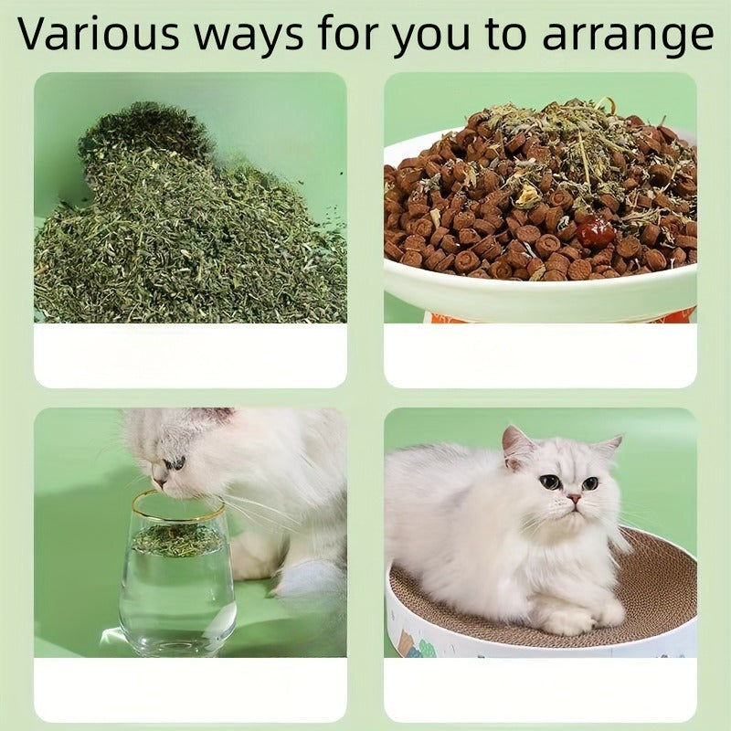 Natural Cat Treats 100g – Dried Herb Snacks for Cats to Aid Digestion, Reduce Hairballs & Stress, Promote Oral Health and Stimulate Natural