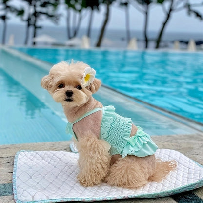 Dog Swimsuit Sky Blue Jumpsuit with Swim Cap – Pet Beach Vacation Outfit Bikini Vest for Dogs & Cats, Summer Swimming Costume