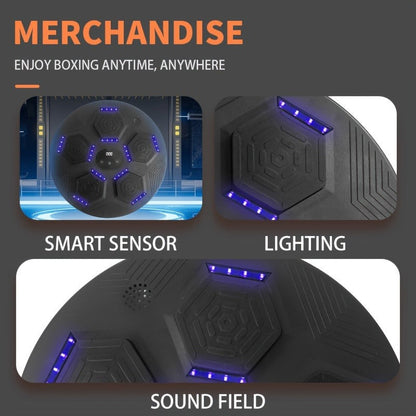 40 cm Round Wall-Mounted Boxing Target with Ordinary, Upgrade and Premium Checkout Options