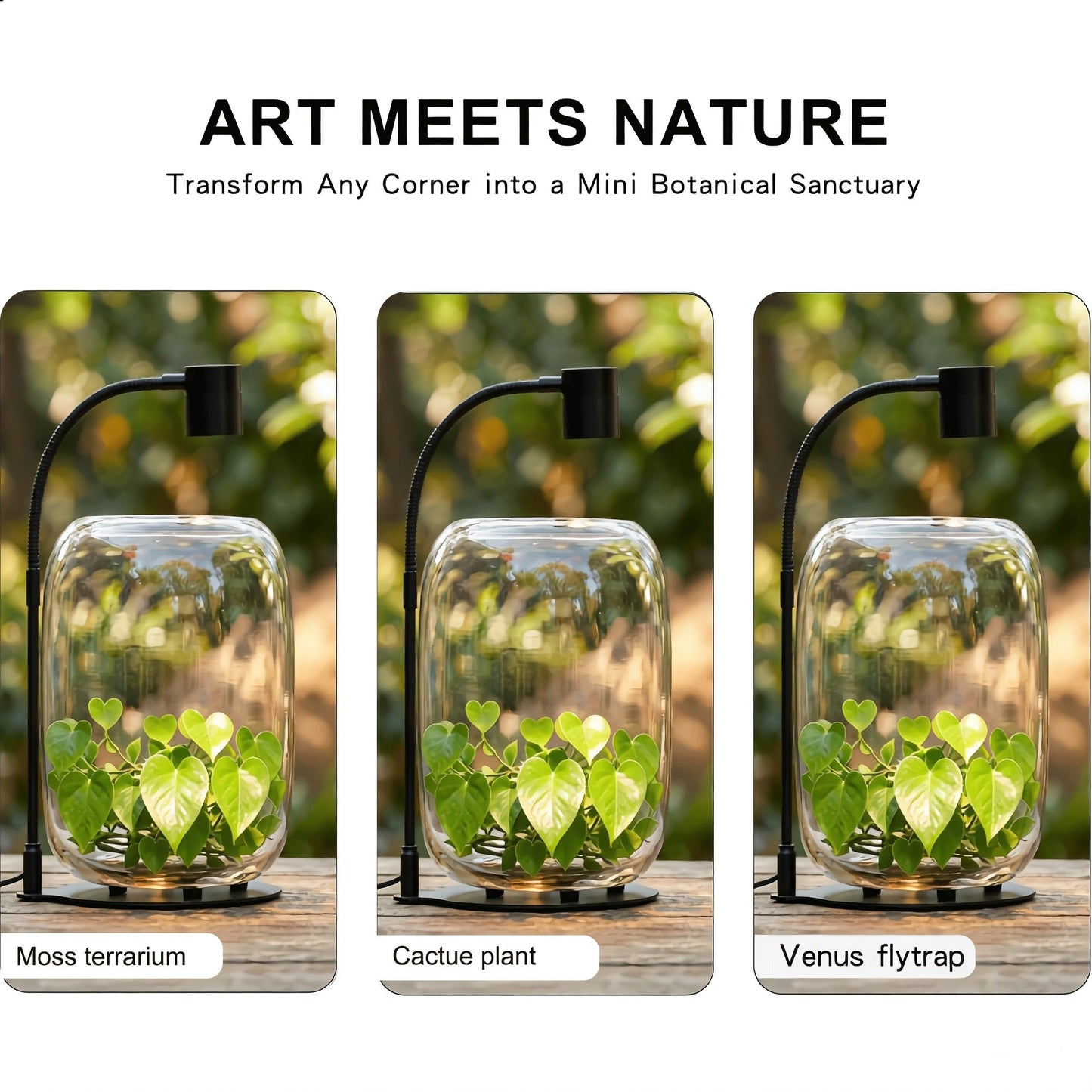 Glass Terrarium with USB Growth Light Open Top 15.9x8.7 Inch Transparent Vase for Moss Air Plants Succulents Indoor Garden Home Office Decor