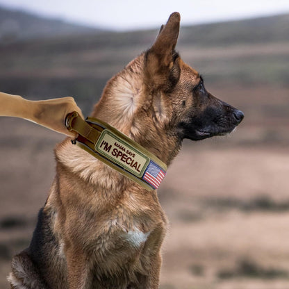 Tactical Dog Collar with Handle & Reflective Stitching – 2.6" Heavy Duty Nylon Collar for Medium & Large Dogs | M, L, XL