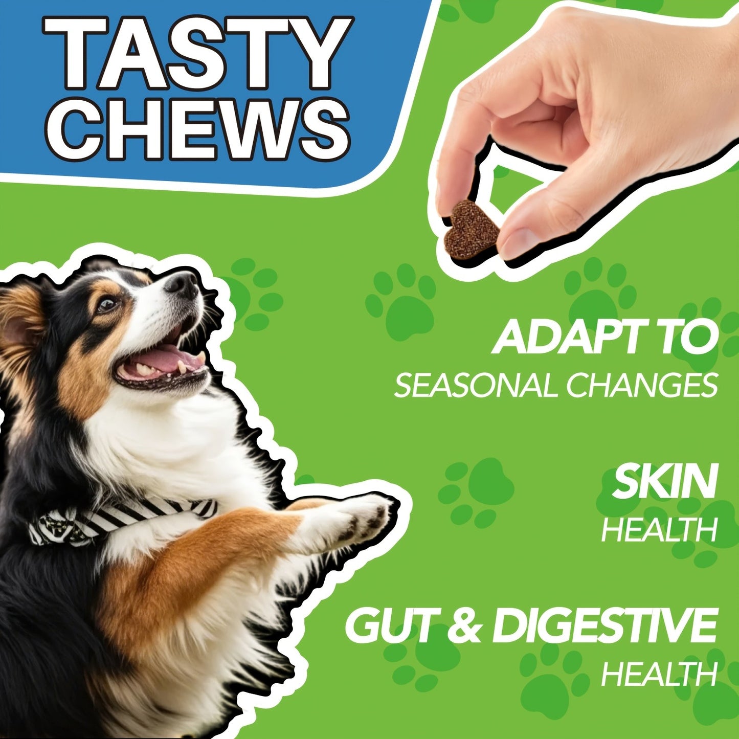 Dog Skin & Immune Probiotic Chews with Bovine Colostrum – 6 Billion CFUs, Dried Fermentate & Astragalus for Skin Calm & Immune Support