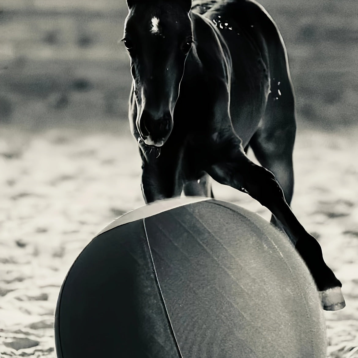 Horse Training Ball 21.7" Anti-Burst Silicone Grazing Ball with Cover & Hanging Belt for Horses Goats Dogs