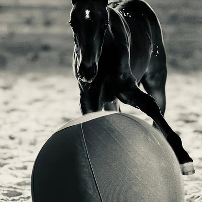 Horse Training Ball 21.7" Anti-Burst Silicone Grazing Ball with Cover & Hanging Belt for Horses Goats Dogs