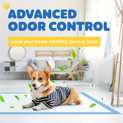Six-Layer Disposable Pet Pads with 50, 101 or 200-Piece Pack Options and Blue-White Design