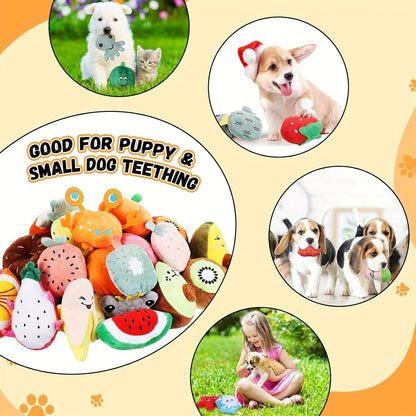Dog Toys 80-Piece Squeaky Plush Assortment with Fruit, Animal and Novelty Shapes for Small or Medium Dogs