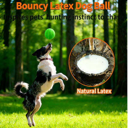 Latex Squeaky Dog Balls 4 Pack Soft Bouncy Sport Fetch Balls for Puppies & Small Dogs – 2.8 Inch Vibrant Color Chew Throw & Fetch Toy Set