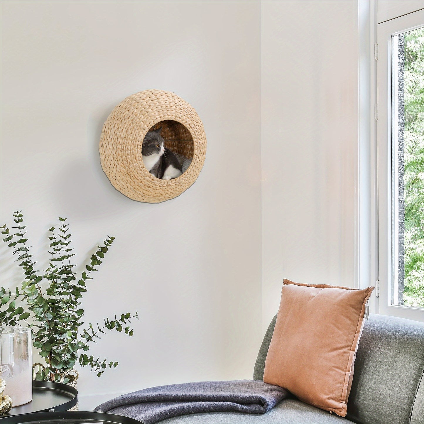 Cat Wall Furniture Wall Mounted Cat Condo – Natural Wood Cat Wall Shelf with Washable Cushion, Space-Saving Indoor Cat Perch for Cats