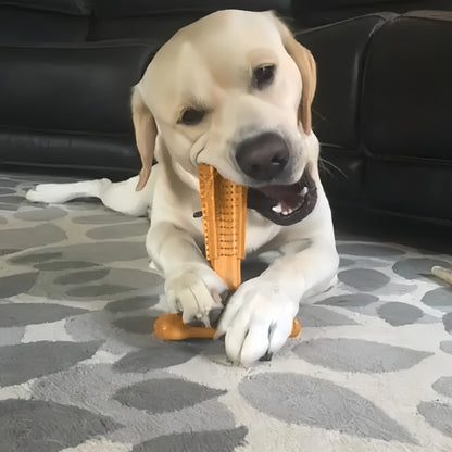 Dog Dental Chew Toy T-Shape with Textured Ridges & Ergonomic Grip – Non-Splintering Durable Chew Toy for Aggressive Chewers