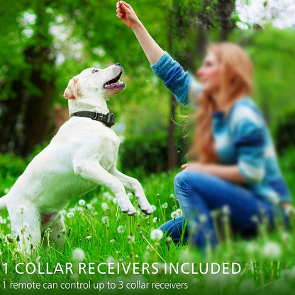 Remote Dog Training Collar with 3 Modes – Vibration, Sound & Static, Adjustable Nylon Strap, Rechargeable E-Collar