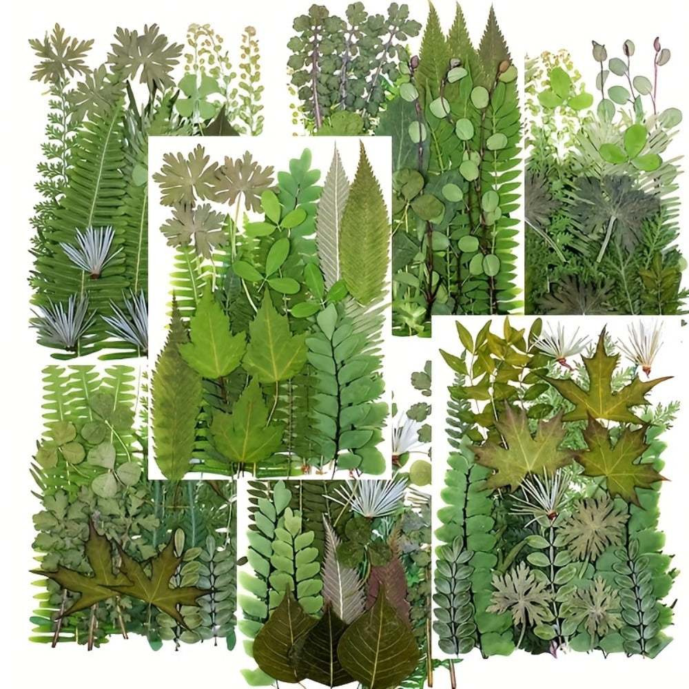 Dried Flower Material Pack 120pcs for Entryways, Bedrooms and Living Spaces, with the Listed Configuration