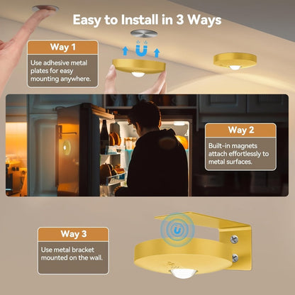 Picture Lights for Wall Rechargeable, Magnetic LED Art Display Light with Remote 3 Color Temperatures Dimmable Timer Golden Finish