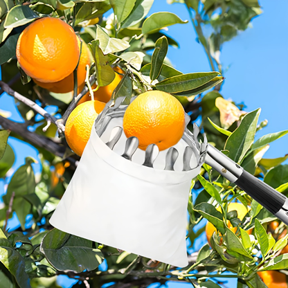 Stainless Steel Fruit Picker with Adjustable 63 to 157 Inch Extension Pole and Non-Slip Handle for Orchard Harvesting