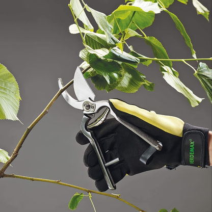 Bypass Pruning Shears with High-Carbon-Steel Label, Safety Lock and 21 x 5.5cm Pictured Size