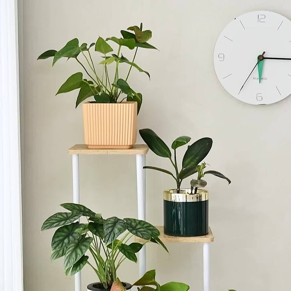 Plant Stand Indoor Multi Tier Corner Metal Flower Stand Tall Plant Shelf for Living Room Bedroom Patio for Garden, Patio and Yard Use