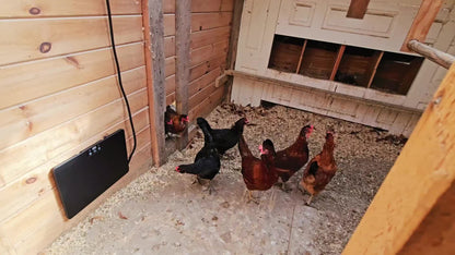 Brooder Heater, Chick Duck Quail 3 Heat Levels Timer Digital Display for Garden, Patio and Yard Use