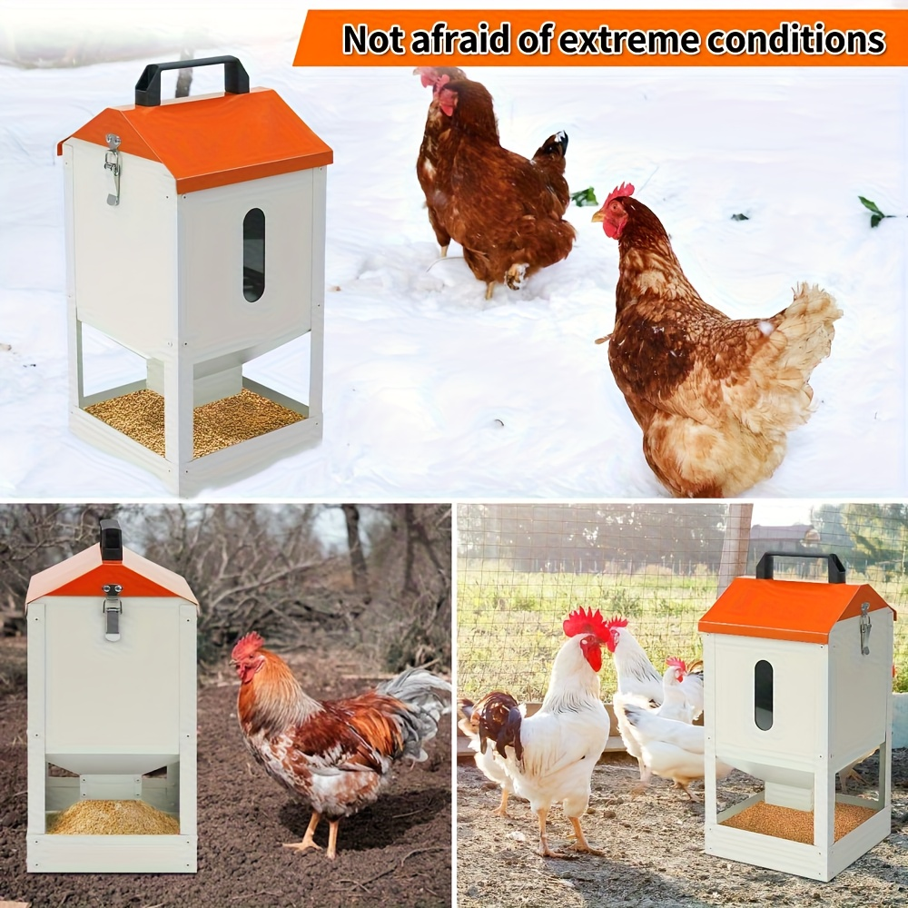 Chicken Feeder Stainless Steel 20 lbs Visible Window Portable Handle