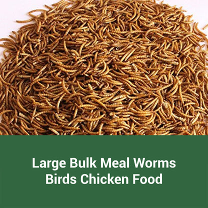 Dried Mealworms High Protein Animal Feed – Natural Insect Treats for Chickens Wild Birds Hens Ducks Turtles Fish Lizards Hamsters