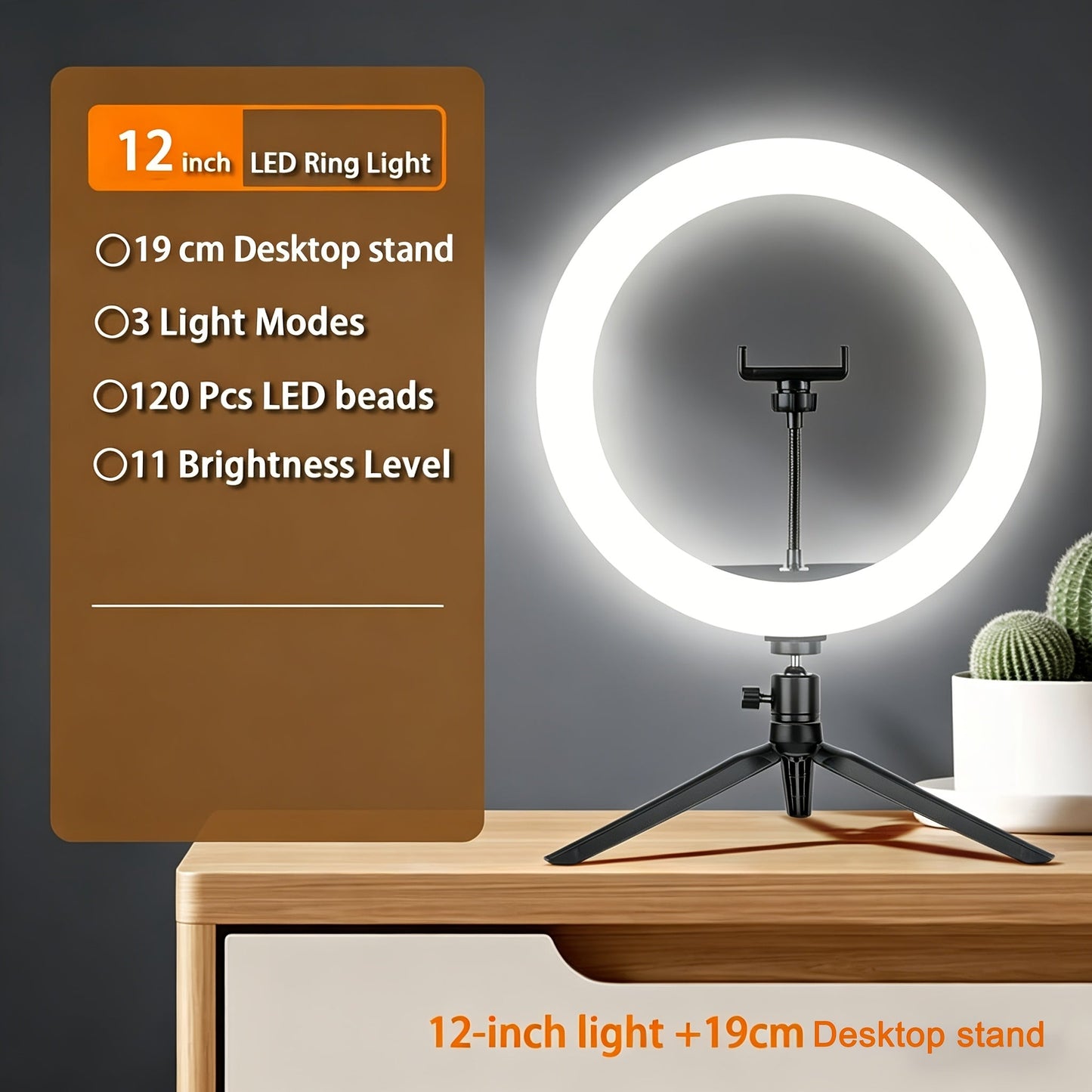 10- or 12-Inch LED Ring Light with Desktop, 43-Inch or 63-Inch Stand and Seven Checkout Options