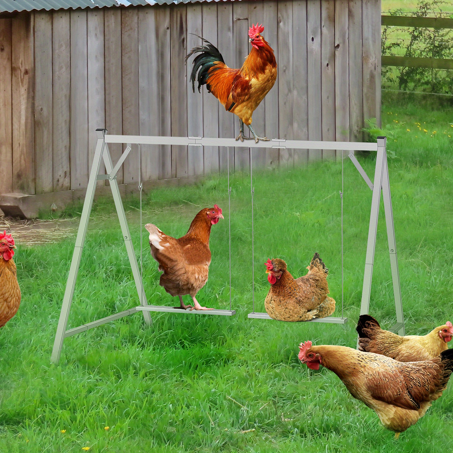 Chicken Swing Coop Toy Metal Perch for Backyard Hens Roosters Parrots Rabbits Promotes Exercise Balance for Garden, Patio and Yard Use