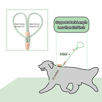 Dog Slip Leash and Harness 2-in-1 Rope Lead – No Pull All-in-One Training Leash for Puppies & Small Dogs, Adjustable Slip Lead with Soft