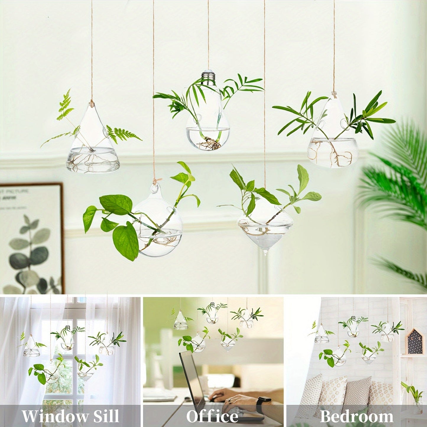 Hanging Planter | Glass Terrarium Hydroponic Air Plant Wall Decor Home