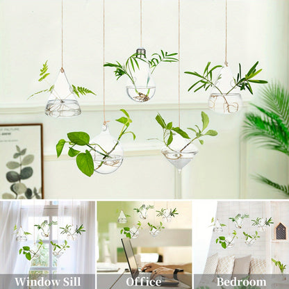 Hanging Planter | Glass Terrarium Hydroponic Air Plant Wall Decor Home