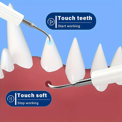 USB-Rechargeable Pet Dental Cleaning Tool with Four Interchangeable Heads, Five Modes and Dual-Lamp Illumination