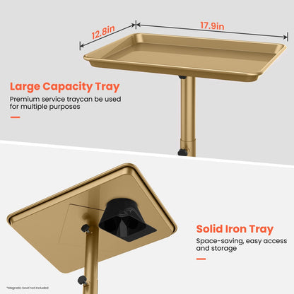 Rolling Salon Tray Cart on Wheels Adjustable Height 17.9x12.8 Inch Mobile Stylist Tray Table for Spa Tattoo Studio Blowdry Bar Aesthetic